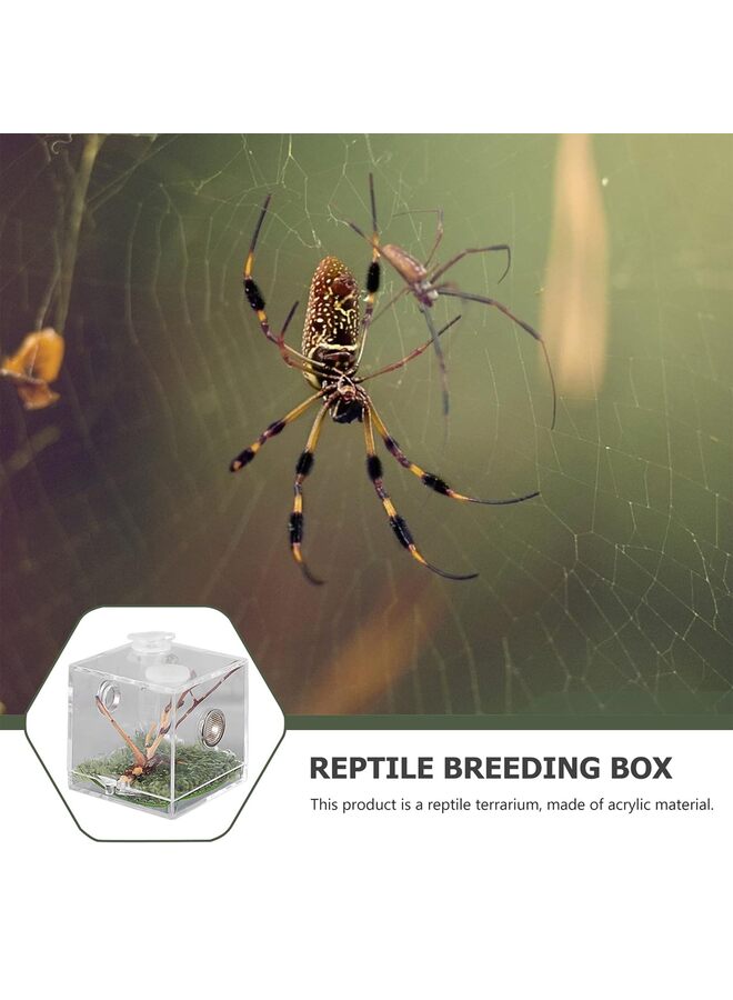 يُسلِّم حوض عناكب، صندوق تربية الزواحف، قفص عناكب قافزة، قفص صراصير، موطن عناكب الرتيلاء الشجرية (الحجم: متوسط) - Image 5